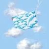 SKYBORNE ÇAPRAZ ÇANTA